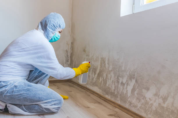 Hvac And Air Duct Mold Remediation inspection of HVAC system in Point Lookout